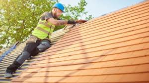 Best Roof Moss and Algae Removal  in Reidsville, GA