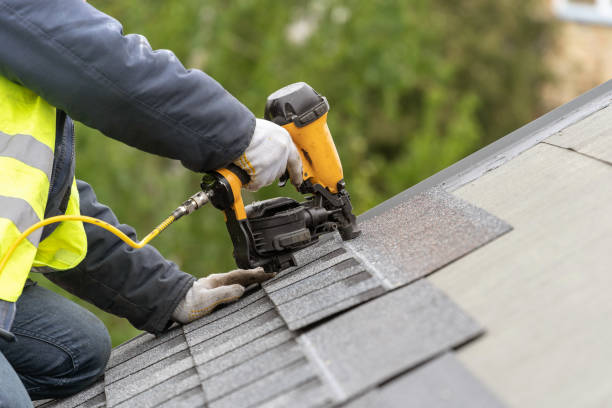 Best Gutter Replacement  in Reidsville, GA