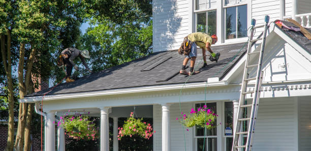 Best Chimney Flashing Repair  in Reidsville, GA